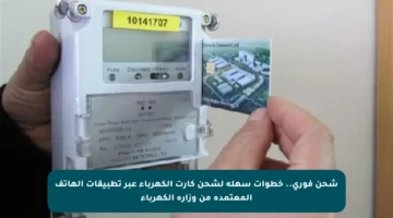 شحن فوري.. خطوات سهلة لشحن كارت الكهرباء عبر تطبيقات الهاتف المعتمدة من وزارة الكهرباء